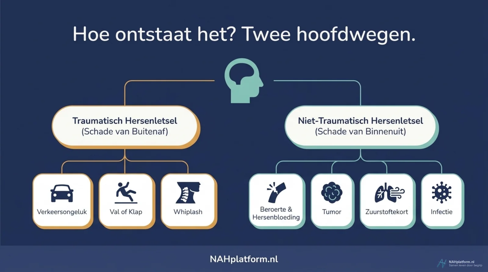 Schema met een hoofd-icoon dat splitst in twee takken met elk drie of vier pictogrammen.