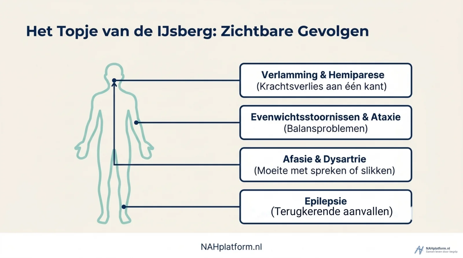 Silhouet van een lichaam met lijnen naar vier tekstvakken.