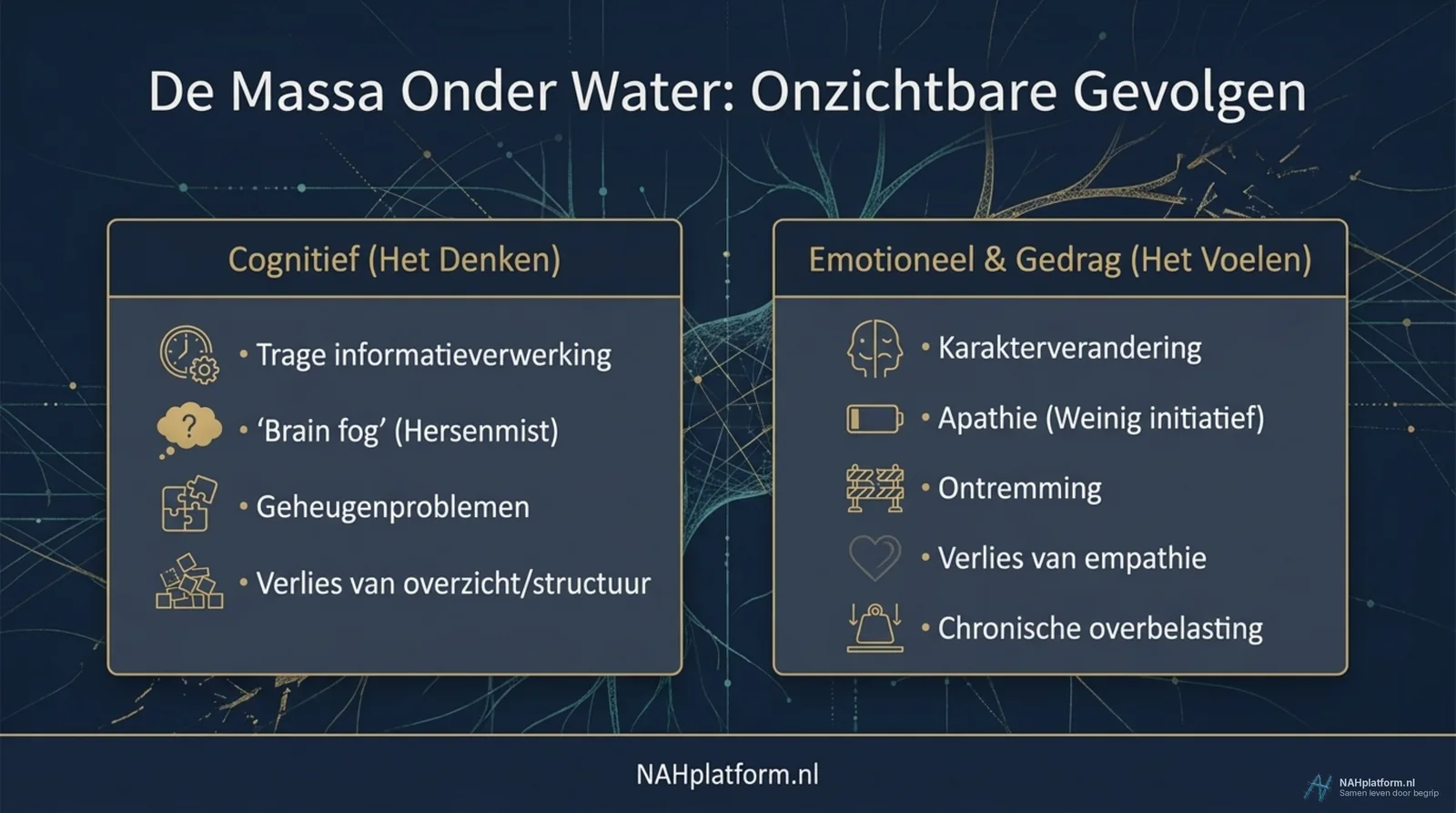 Twee kolommen met pictogrammen op een donkere achtergrond met zenuwbanen.